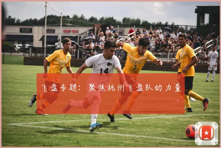 飞盘专题：聚焦杭州飞盘队的力量