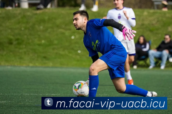 MK体育注册APP 封面图